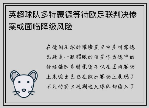 英超球队多特蒙德等待欧足联判决惨案或面临降级风险